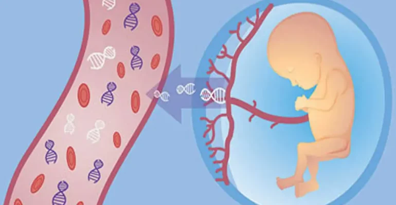 Fetal Kan Örneklemesi (FKÖ) (Kordosentez)