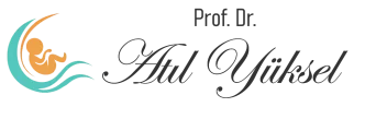 Prof. Dr. Atıl Yüksel